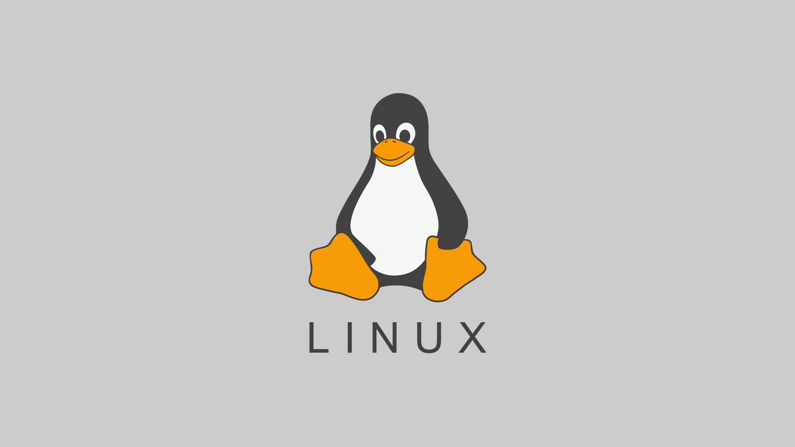 Linux Kullanıcıları İçin En İyi 10 Terminal Programı Resim