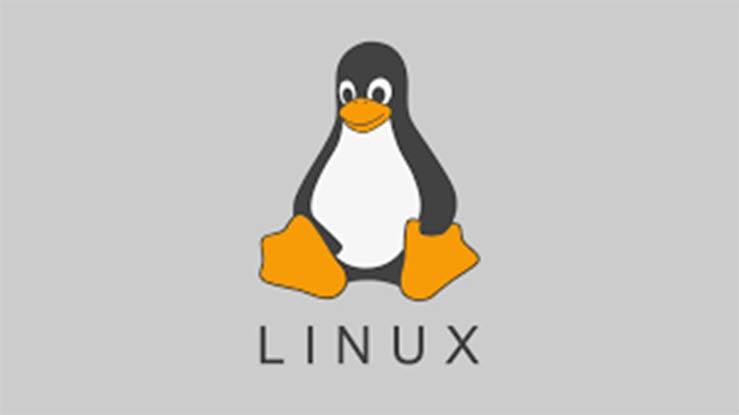 Linux Sunucularda MySQL ve PostgreSQL Veritabanı Kurulumu ve Yönetimi Nasıl Yapılır? Resim