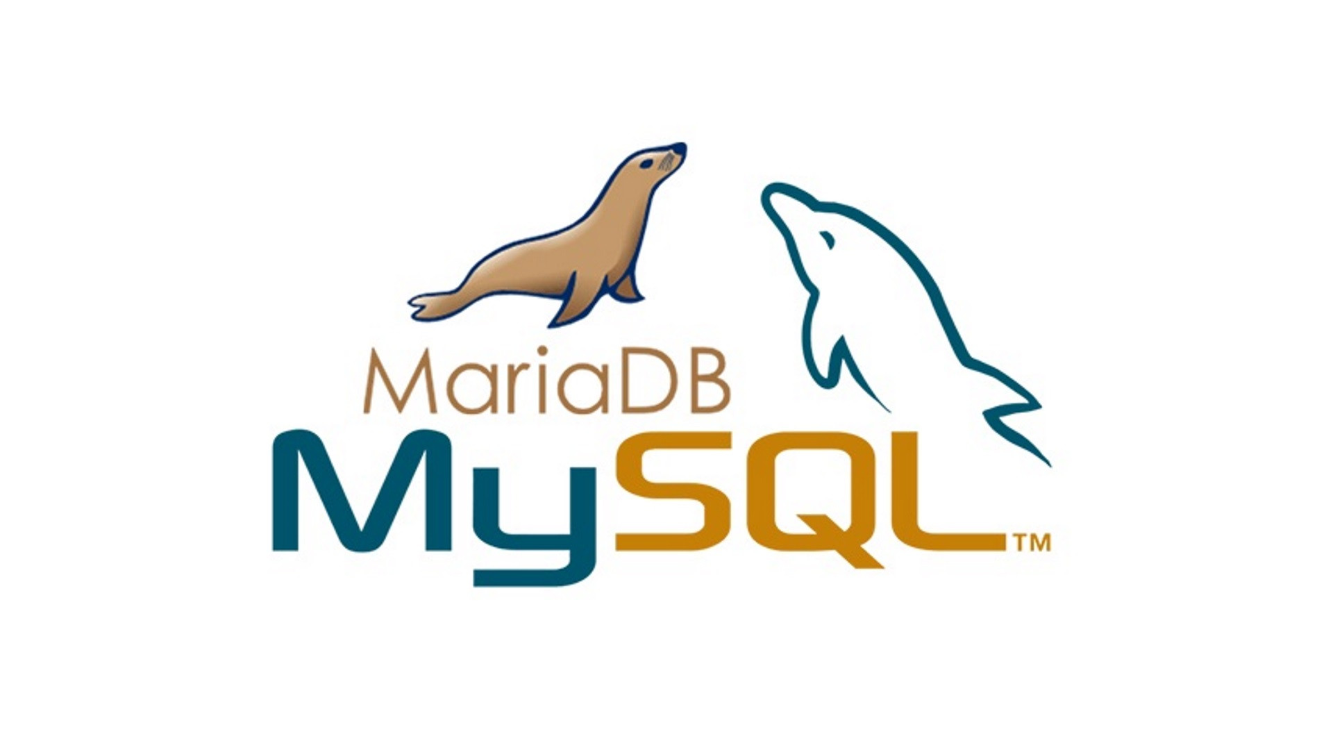 cPanel MySQL MariDB Yükseltme Sorun Çözümü resim